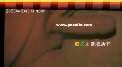 勃起阴茎